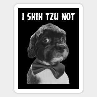 I Shih Tzu Not Magnet